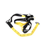 Fitness Hanging Belt Pull Rope Exerciser Equipment